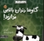 تصویر  حیوانات شگفت انگیز - گاوها دندان بالایی ندارند (خشتی-شمیز)